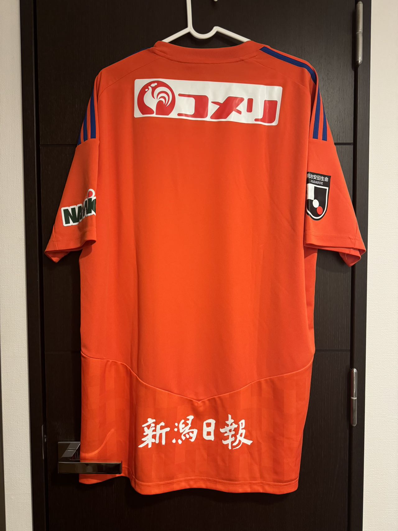 2023 J1新潟天鵝主場波衫