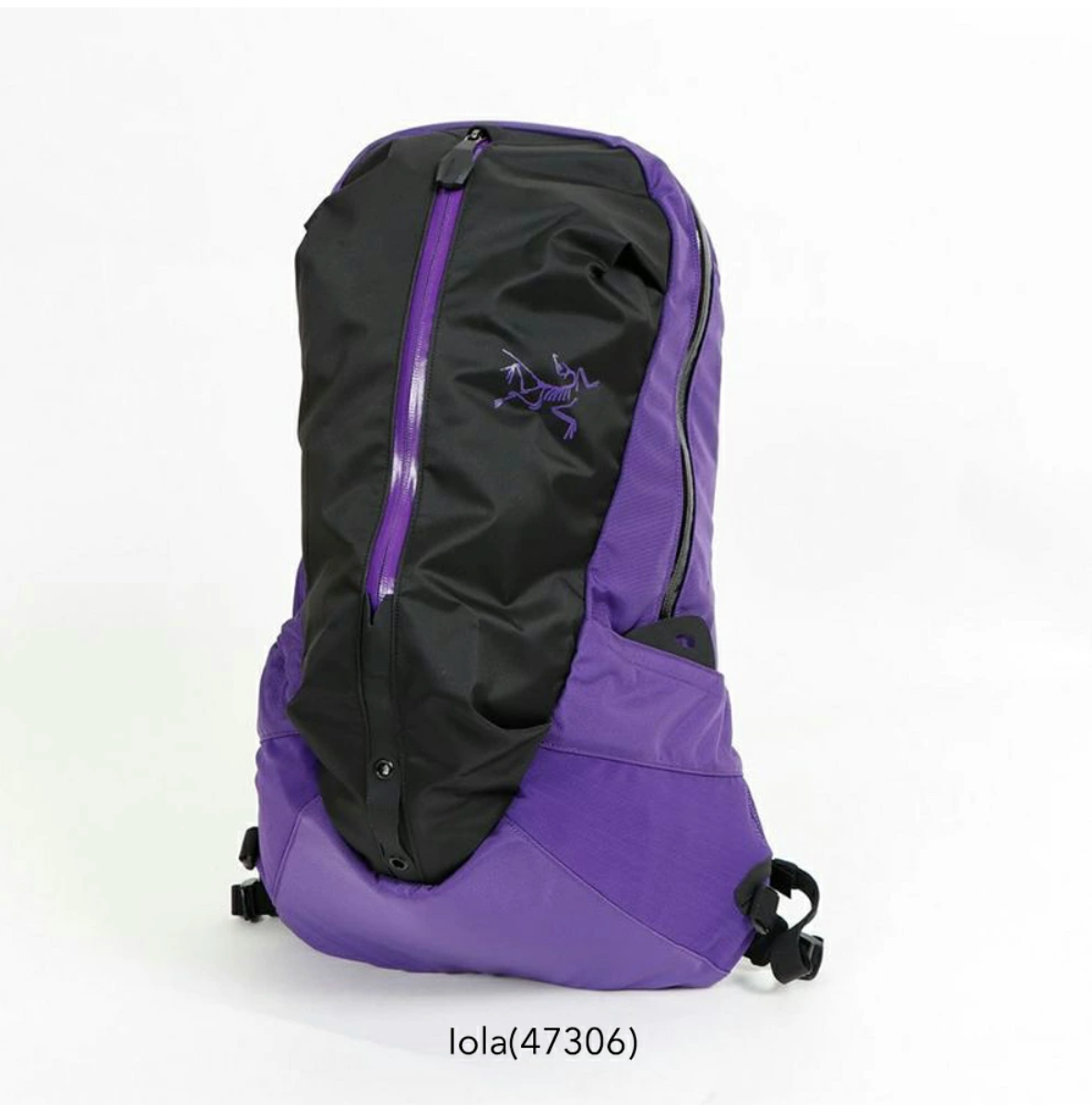 日本直送 Arcteryx Arro 22 Backpack