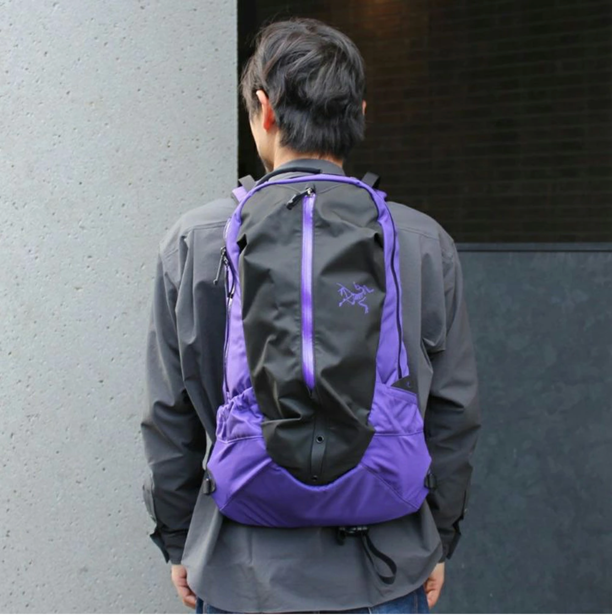 日本直送 Arcteryx Arro 22 Backpack