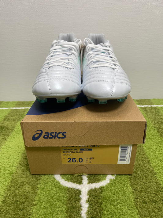 Asics DS Light X-Fly Pro 2