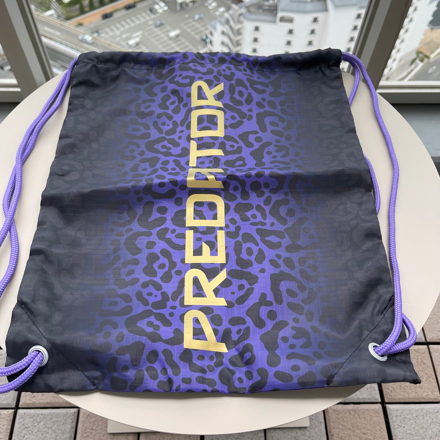 (日本現貨) Predator Elite FT FG KAKA限量版